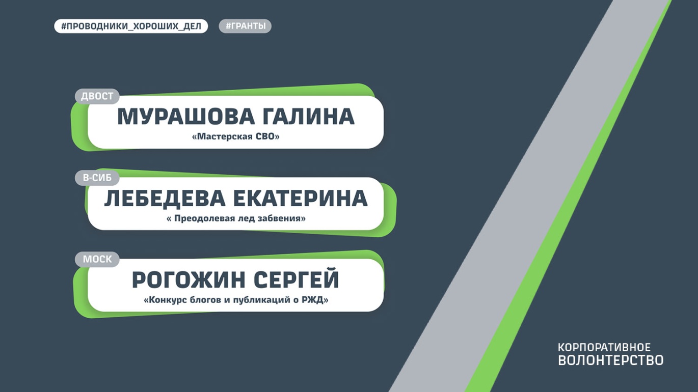 Победители конкурса в номинации «МАКРО-гранты»